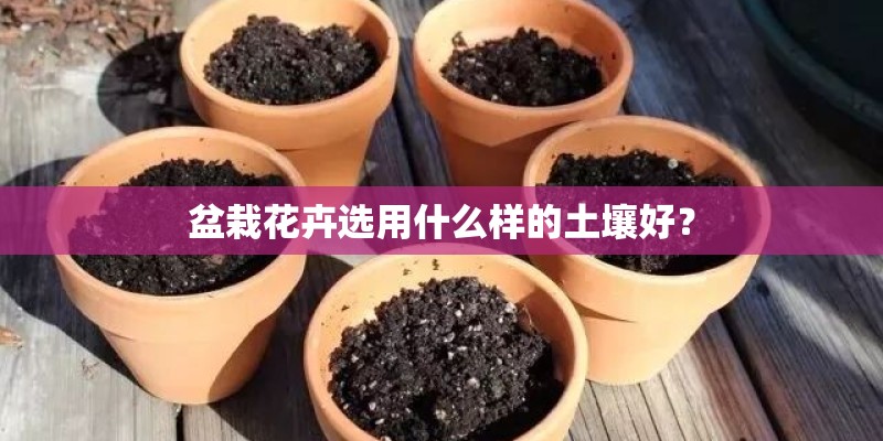 盆栽花卉选用什么样的土壤好？