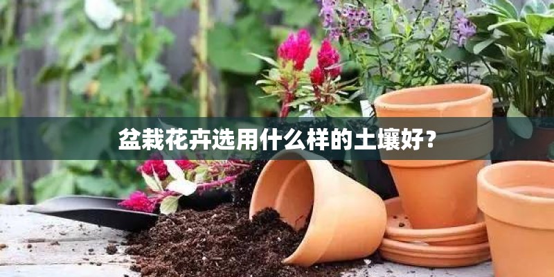 盆栽花卉选用什么样的土壤好？