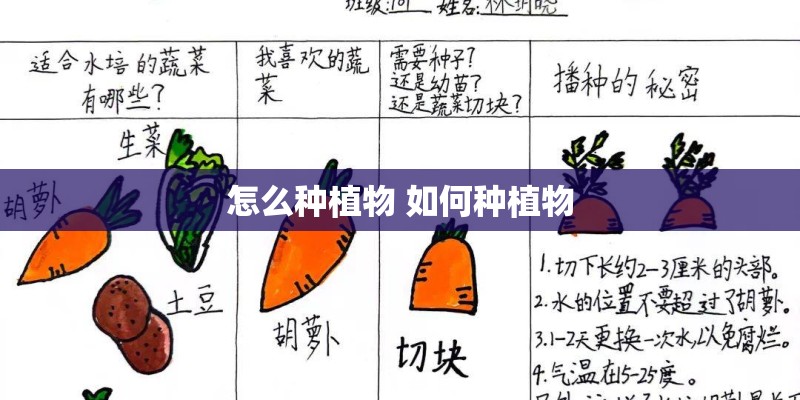 怎么种植物 如何种植物