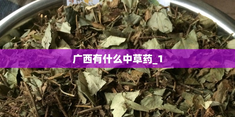 广西有什么中草药_1