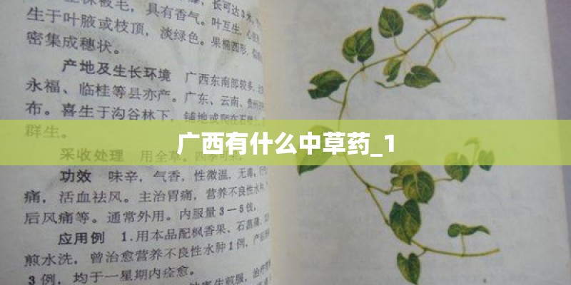 广西有什么中草药_1 广西有什么中草药_1