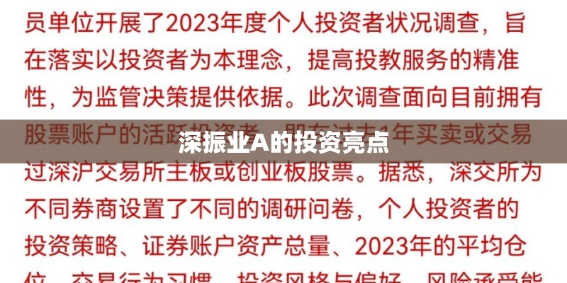 深振业A的投资亮点