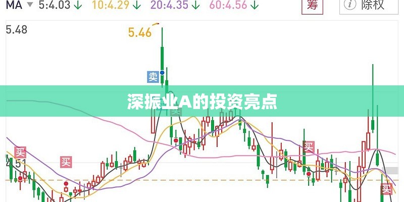 深振业A的投资亮点