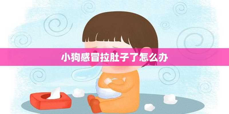 小狗感冒拉肚子了怎么办 小狗感冒拉肚子了怎么办