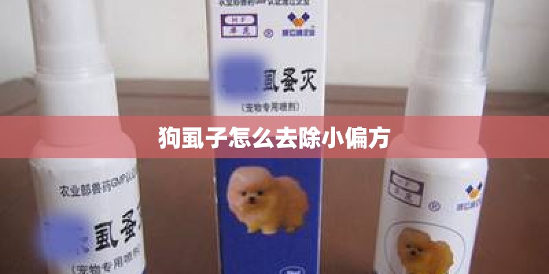 狗虱子怎么去除小偏方