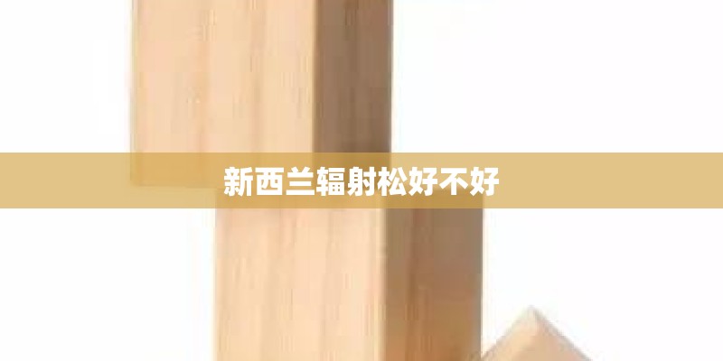 新西兰辐射松好不好
