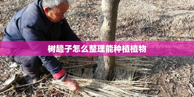 树趟子怎么整理能种植植物