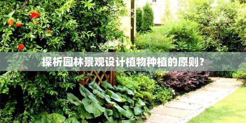 探析园林景观设计植物种植的原则？