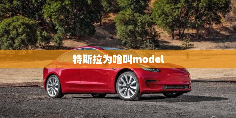 特斯拉为啥叫model