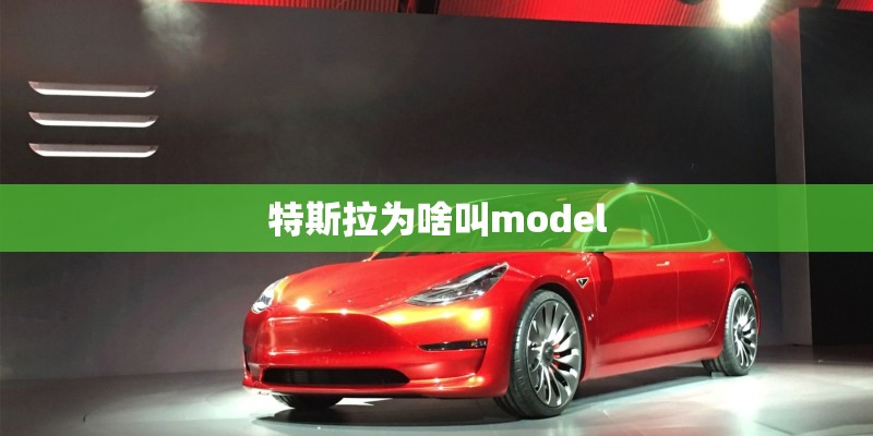 特斯拉为啥叫model