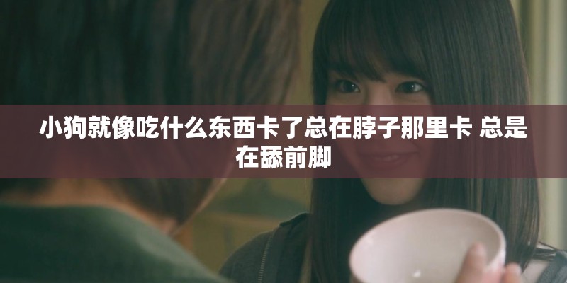 小狗就像吃什么东西卡了总在脖子那里卡 总是在舔前脚