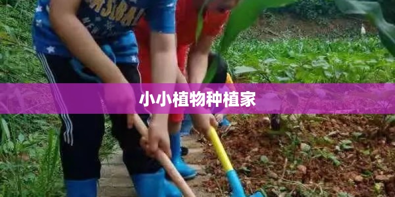 小小植物种植家 小小植物种植家