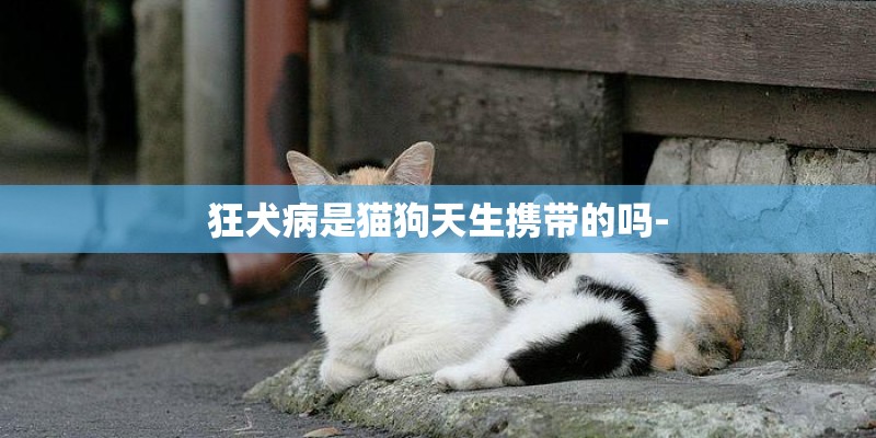 狂犬病是猫狗天生携带的吗-