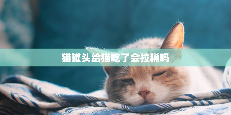 猫罐头给猫吃了会拉稀吗