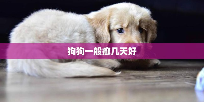 狗狗一般癣几天好