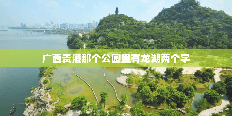 广西贵港那个公园里有龙湖两个字