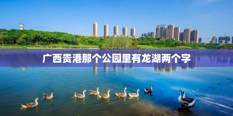 广西贵港那个公园里有龙湖两个字