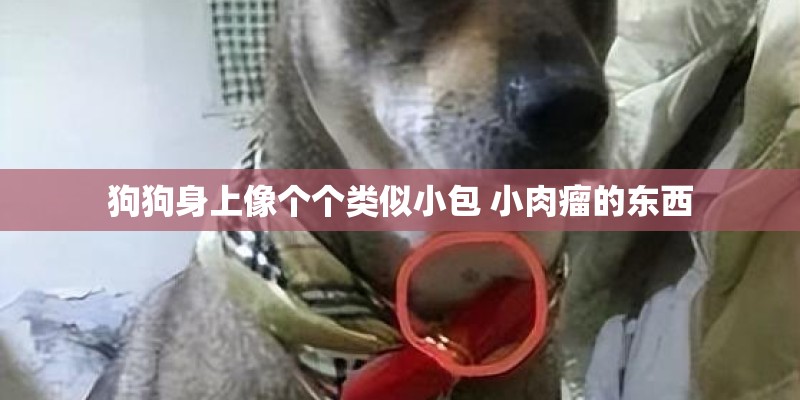 国家认可的十大品牌dha