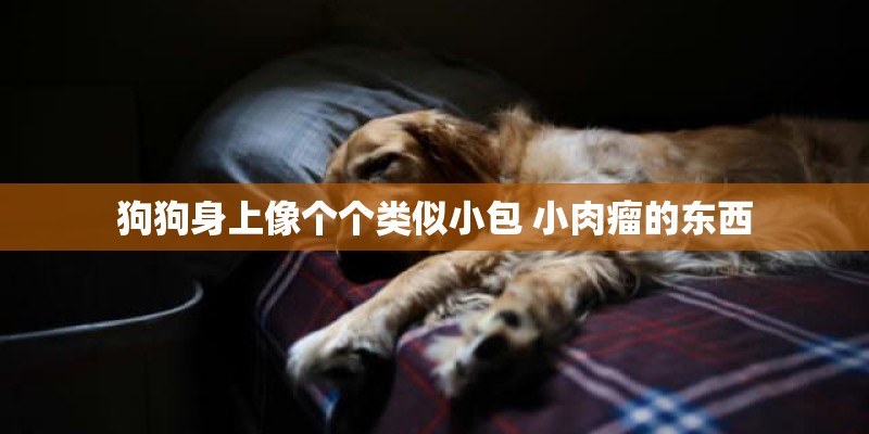 顺丰客服电话人工400顺丰客服电话