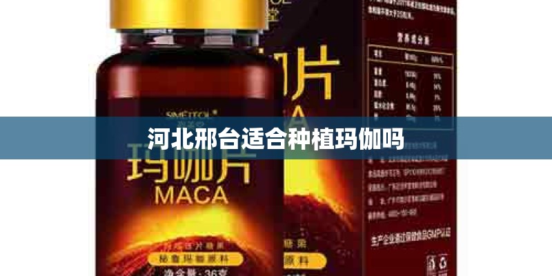 河北邢台适合种植玛伽吗