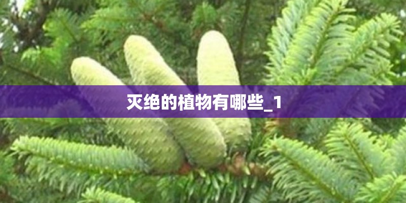 灭绝的植物有哪些_1