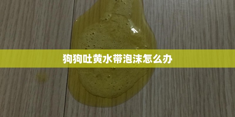 狗狗吐黄水带泡沫怎么办