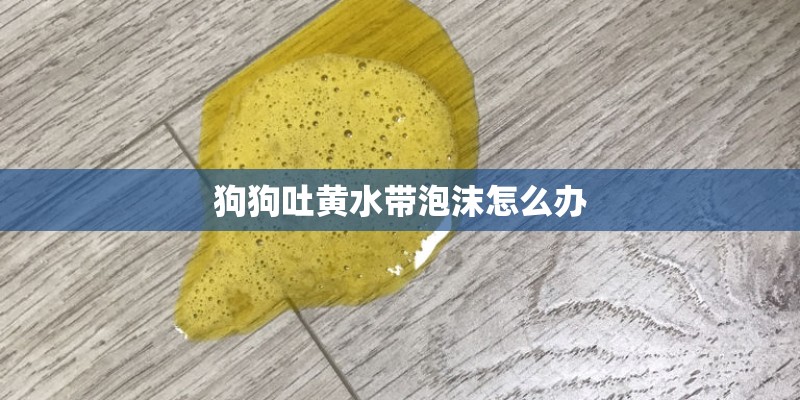 狗狗吐黄水带泡沫怎么办 狗狗吐黄水带泡沫怎么办