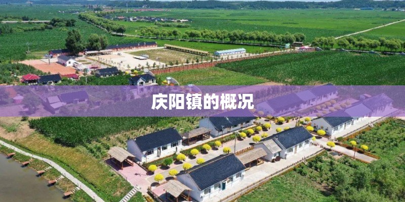 庆阳镇的概况