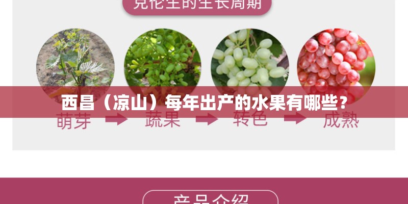 西昌（凉山）每年出产的水果有哪些？