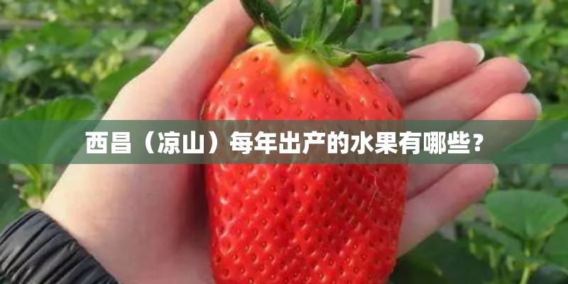西昌（凉山）每年出产的水果有哪些？