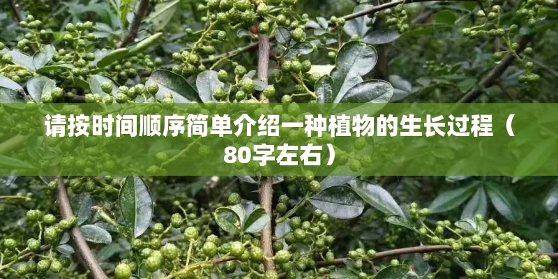 谷子怎样种植才能丰产？