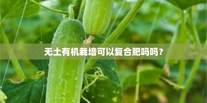 无土有机栽培可以复合肥吗吗？