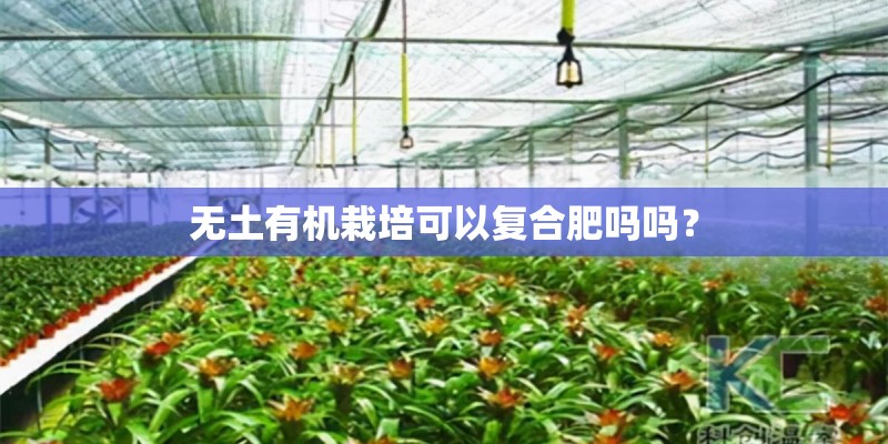 无土有机栽培可以复合肥吗吗？