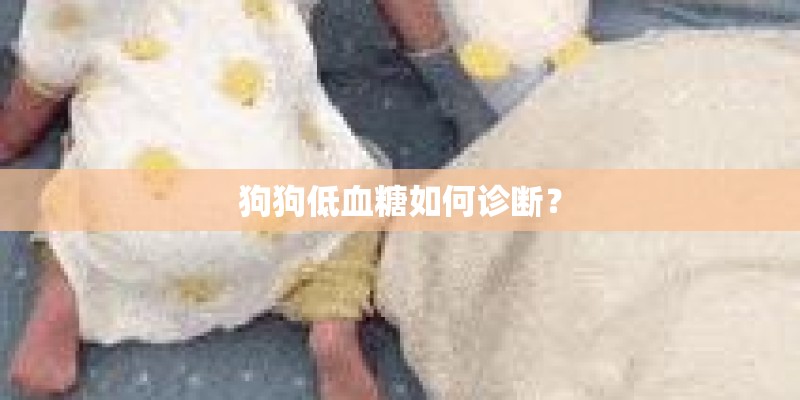 离我最近的飞度4s店