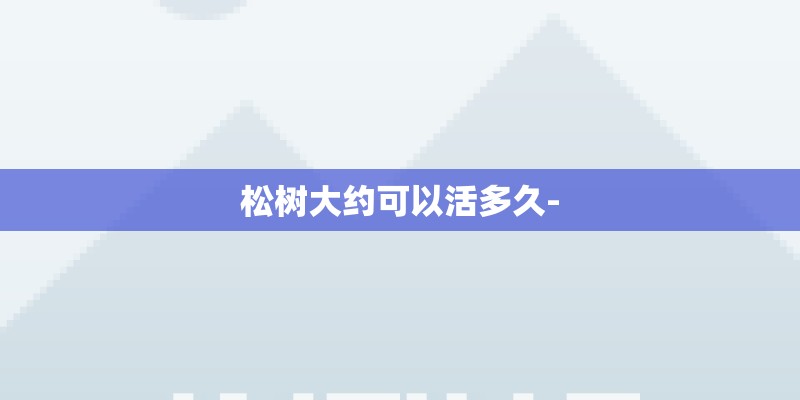 松树大约可以活多久-