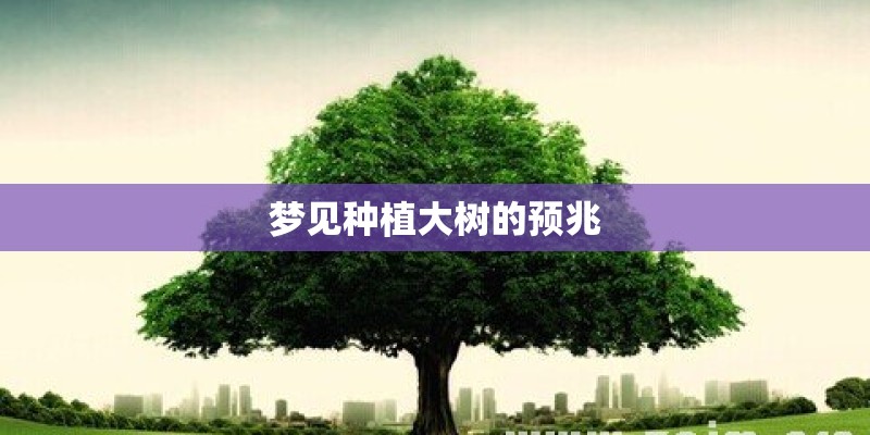 梦见种植大树的预兆
