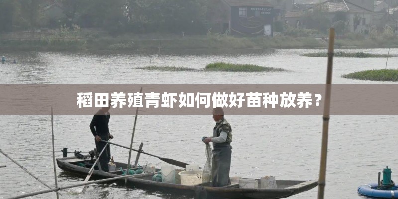 稻田养殖青虾如何做好苗种放养？