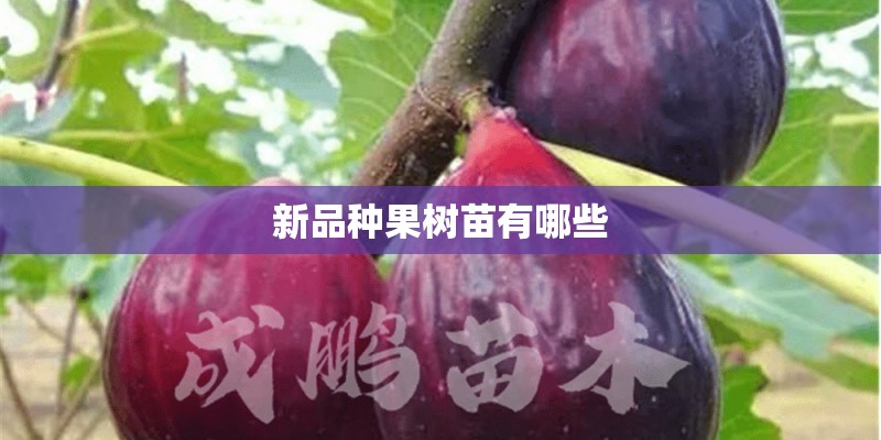 安凯客车重组后会怎样？