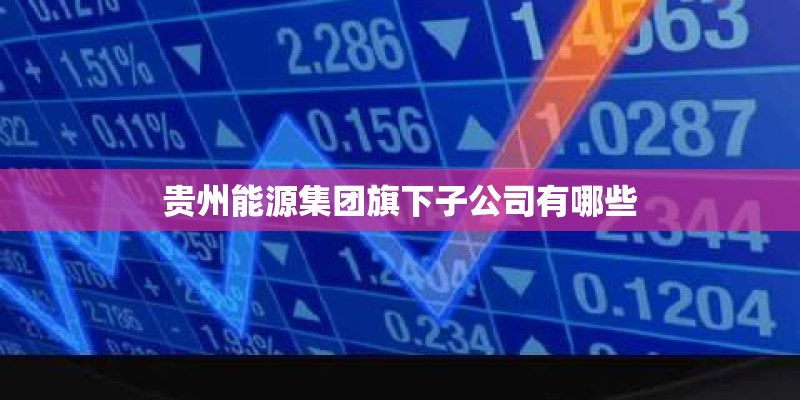 贵州能源集团旗下子公司有哪些