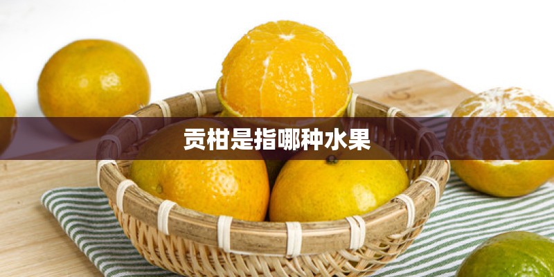 贡柑是指哪种水果