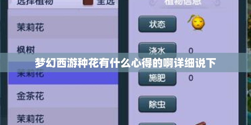 梦幻西游种花有什么心得的啊详细说下
