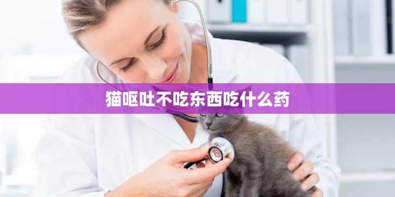 猫呕吐不吃东西吃什么药 猫呕吐不吃东西吃什么药