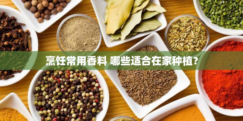 烹饪常用香料 哪些适合在家种植？