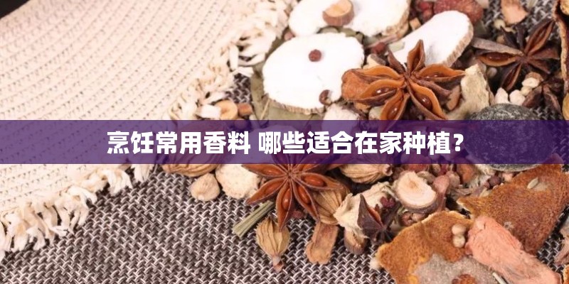 烹饪常用香料 哪些适合在家种植？
