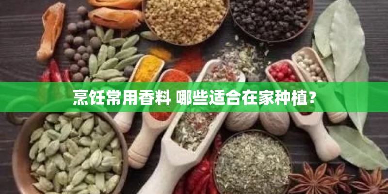 烹饪常用香料 哪些适合在家种植？