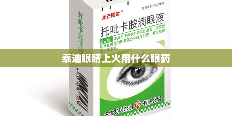 泰迪眼睛上火用什么眼药 泰迪眼睛上火用什么眼药