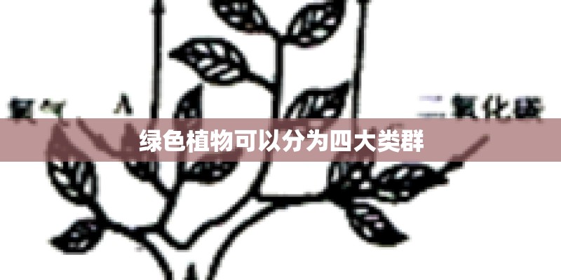 绿色植物可以分为四大类群 绿色植物可以分为四大类群