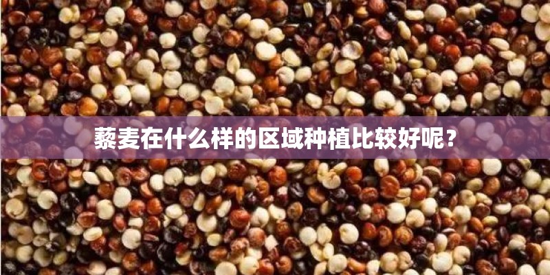 藜麦在什么样的区域种植比较好呢？