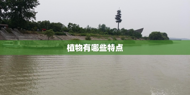 植物有哪些特点