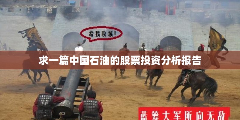 求一篇中国石油的股票投资分析报告